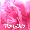 ローズオットー(Rose  Otto)